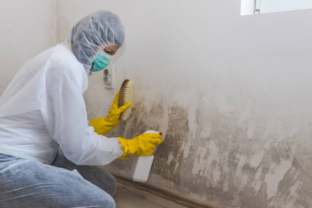 Best Crawl Space Mold Removal  in Grandview, TX