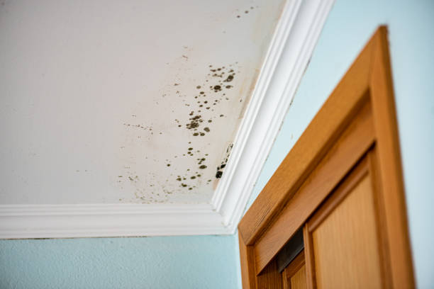 Water Damage Restoration in Grandview, TX