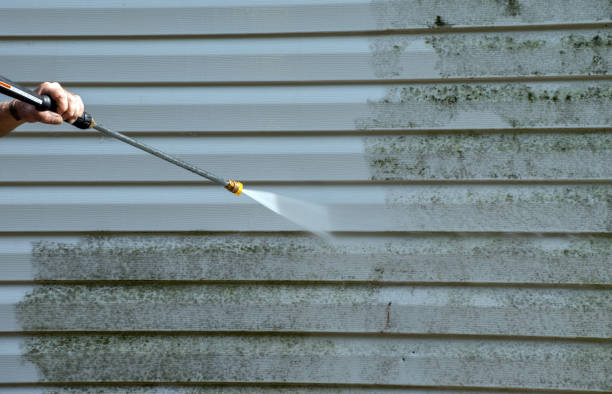 Attic Mold Removal in Grandview, TX