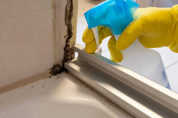 Best Residential Mold Removal  in Grandview, TX