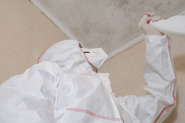 Best Mold Removal Company Near Me  in Grandview, TX