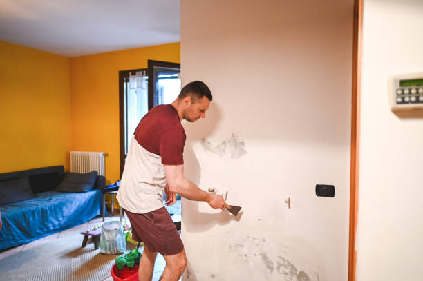 Best Professional Mold Removal  in Grandview, TX