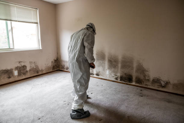 Best Crawl Space Mold Removal  in Grandview, TX