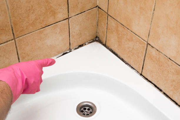 Best Emergency Mold Removal  in Grandview, TX